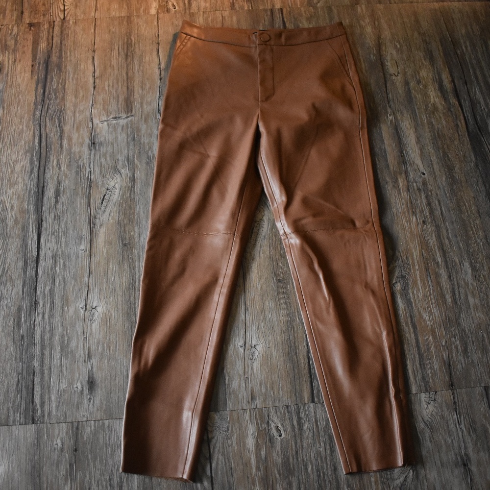 Zara Tan Pants